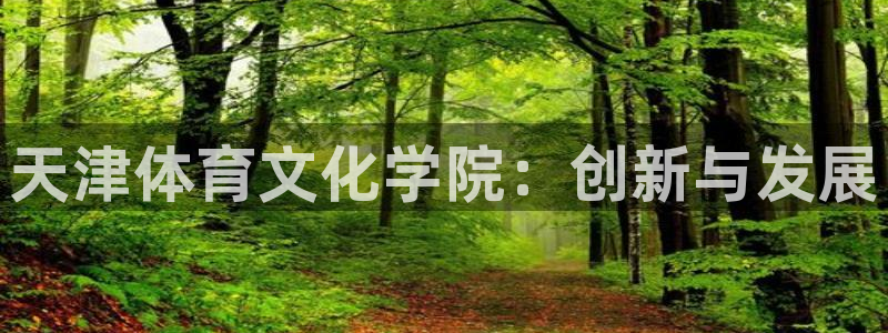 杏彩xc凯捷平台