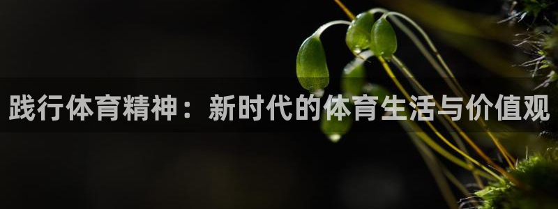 汽车xc是什么意思
