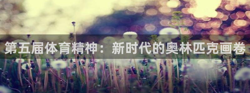 xc是什么的缩写