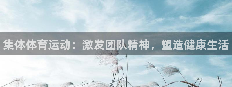 xc是什么快递