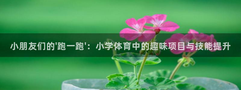 新沃尔沃xc90如何