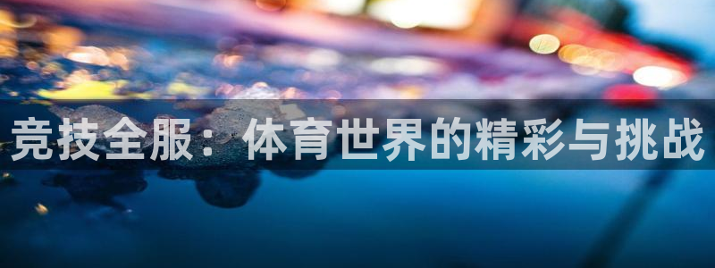 杏彩xc4代理