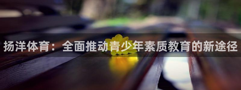 沃尔沃 xc90