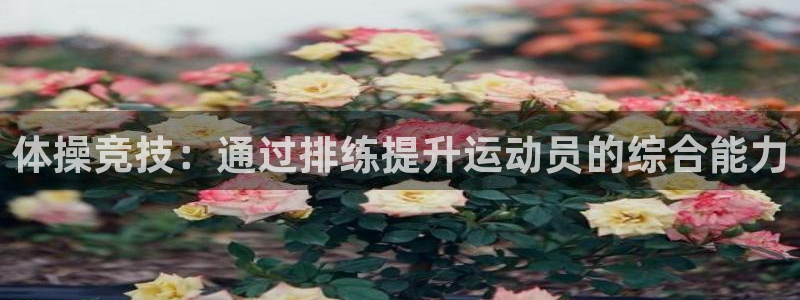 杏彩官网平台