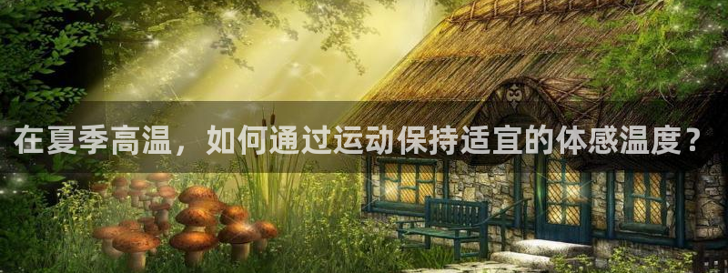 xc是什么意思