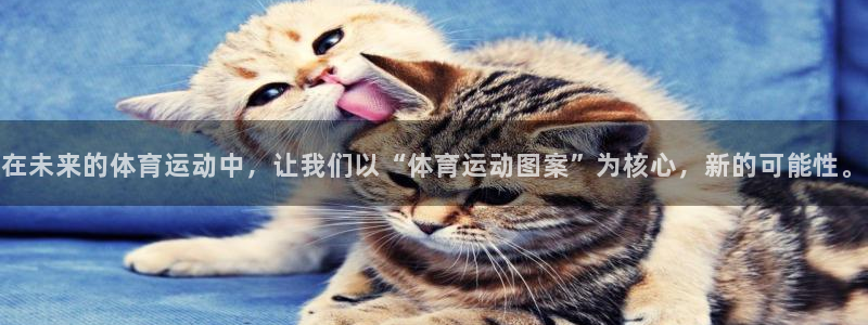 杏彩xc官网注册