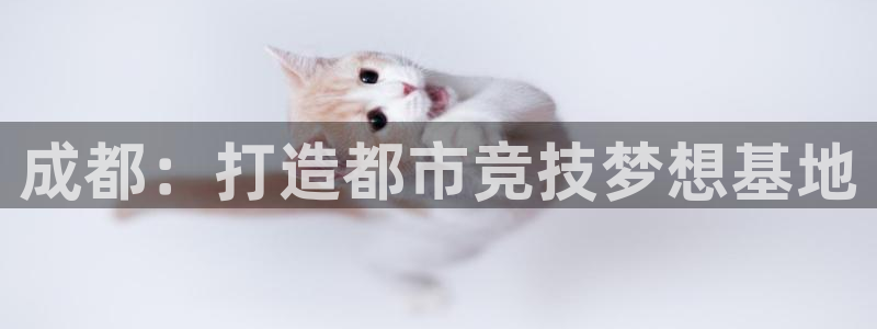 杏彩xc体育2