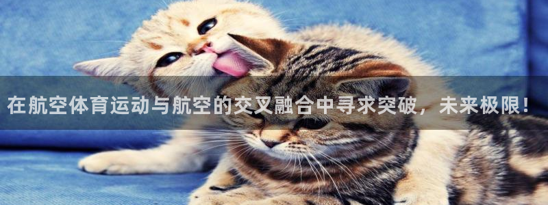 杏彩xc平台注册入口