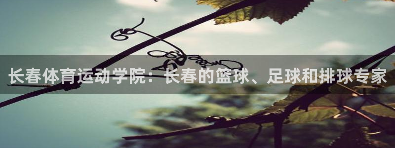 杏彩xc4平台