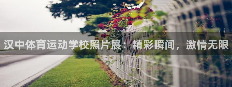 杏彩xc股份