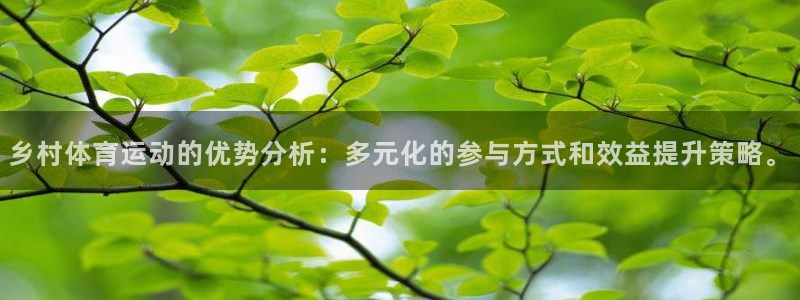杏彩xc2登录入口